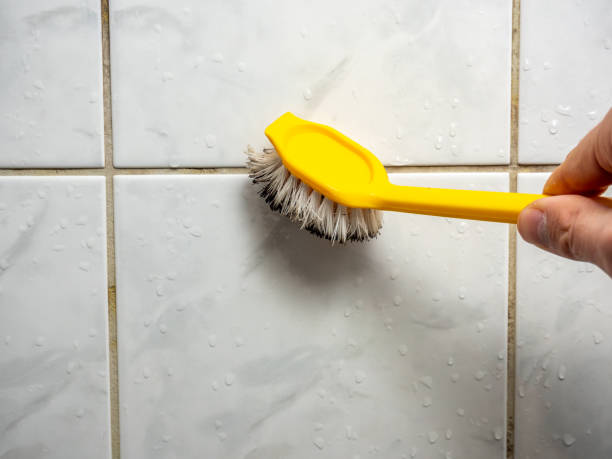 Professional Mold Removal in Chippewa Falls, WI