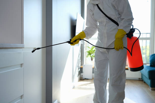 Best Residential Mold Removal  in Chippewa Falls, WI