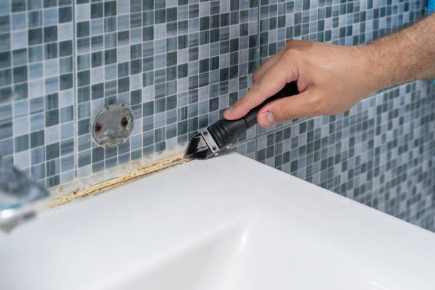 Best Emergency Mold Removal  in Chippewa Falls, WI